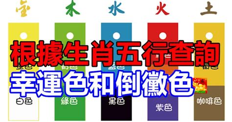 喜用色|根據生肖五行查詢幸運色和倒霉色